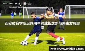 隐稳的目标