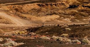 被魔笛逮到的人，走不了一点 精彩比赛值得一看